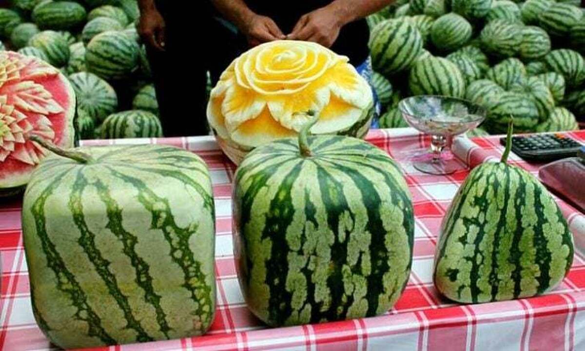 کیودو: هندوانه‌های مربعی برای تزئین هستند و خوراکی نیستند