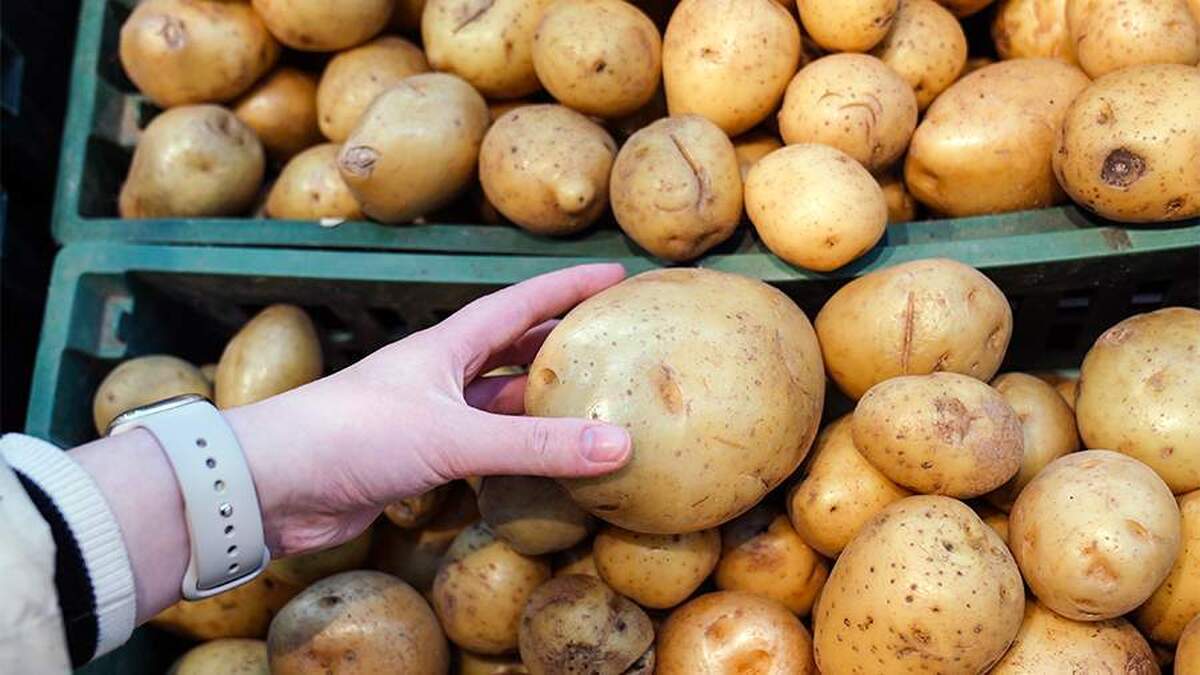 بلاروس ممنوعیت واردات سیب‌زمینی و پیاز از اتحادیه اروپا را لغو کرد