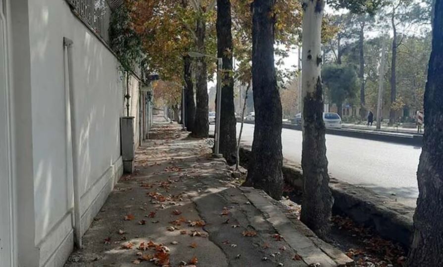 زیباترین باغ‌های شیراز را در این محله پیدا کنید! +تصاویر