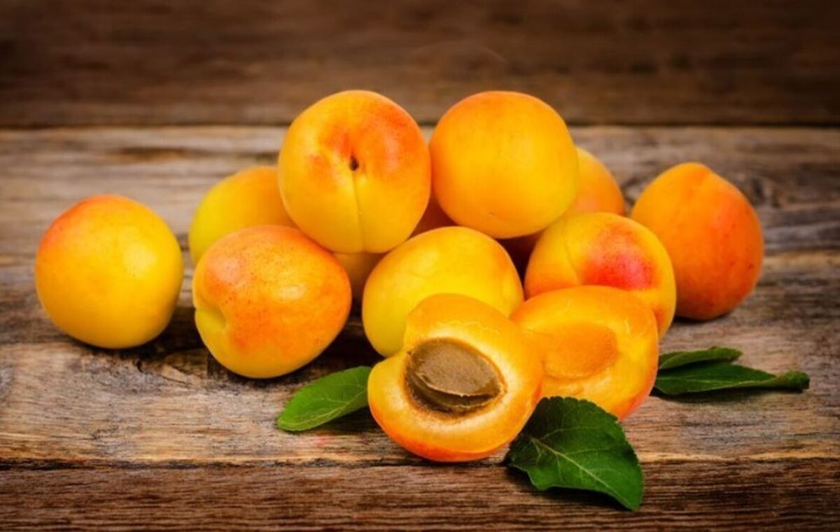 ممنوعیت مصرف این میوه بعد از غذا را جدی بگیرید