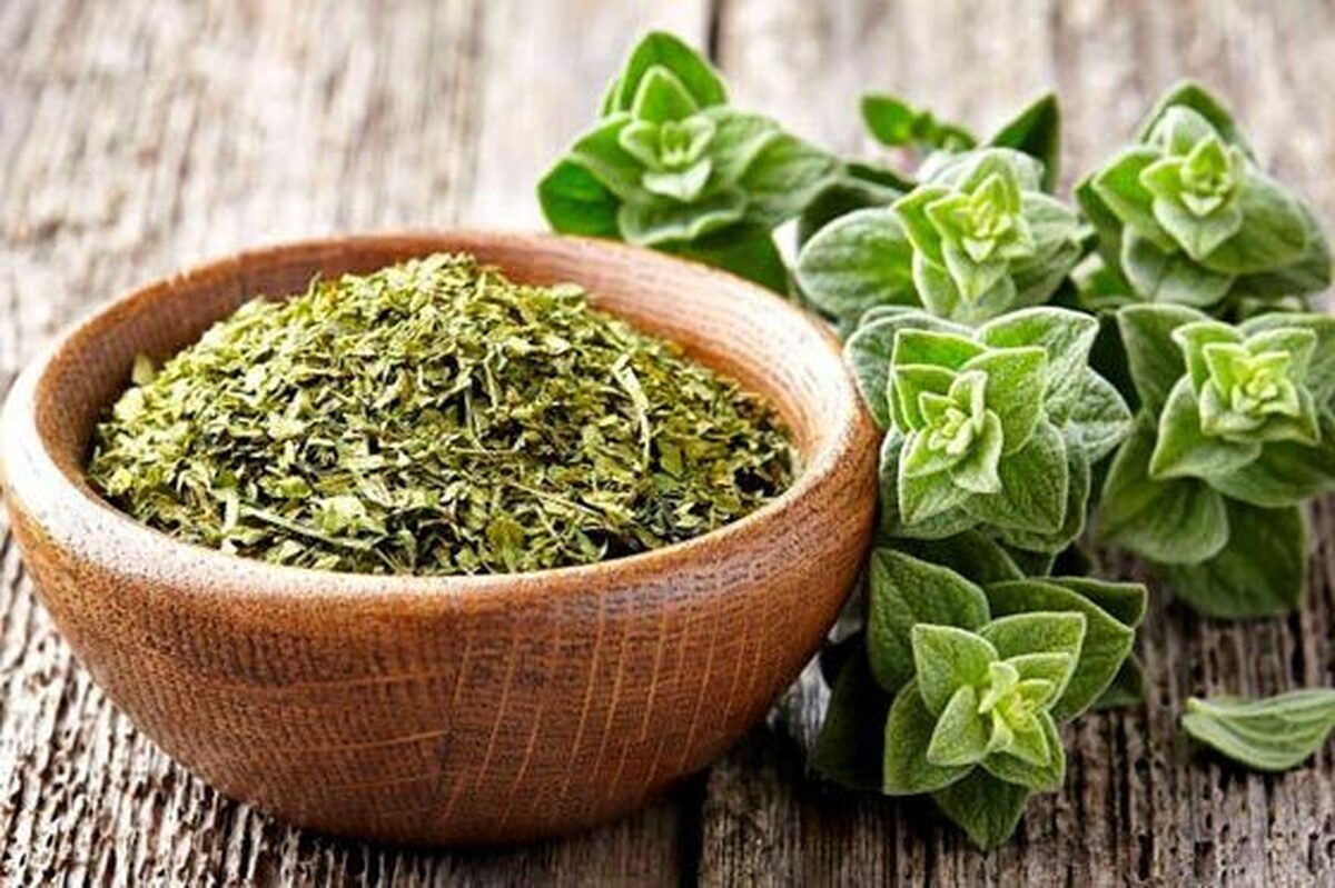 طعم دهنده ای لطیف شیرین وگرم که در بسیاری از غذاهای جهان استفاده می شود