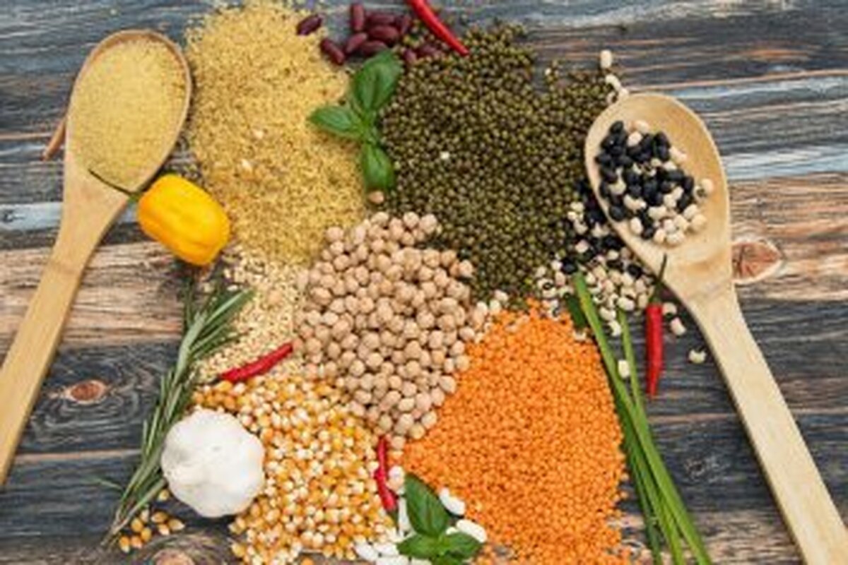 دکتر النا مالیشوا در مورد اهمیت گنجاندن حبوبات در رژیم غذایی یادآوری کرد