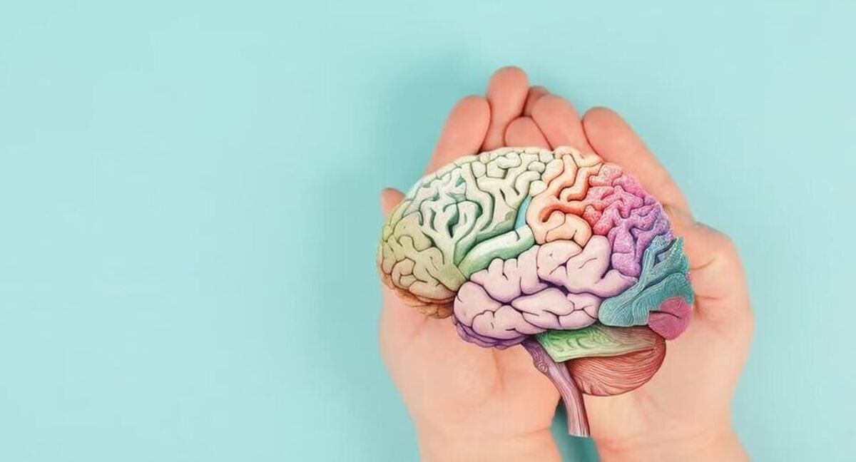 کار‌های به ظاهر ساده‌ای که رعایت نکردن آنها باعث پیری مغز می‌شود
