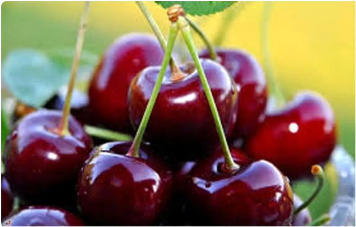 یک حقیقت باور نکردنی در مورد میزان کلسیم در گیلاس