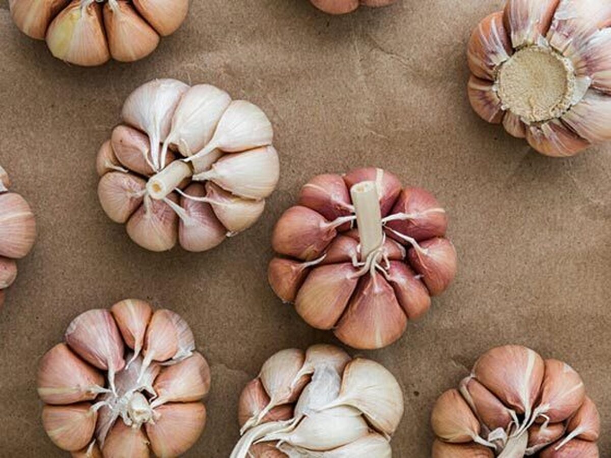 آیا خوردن سیر باعث تشدید رفلاکس معده می‌شود؟