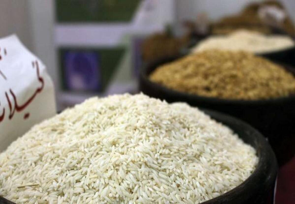 تولید برنج به ۲ میلیون و ۷۰۰ هزارتن می‌رسد