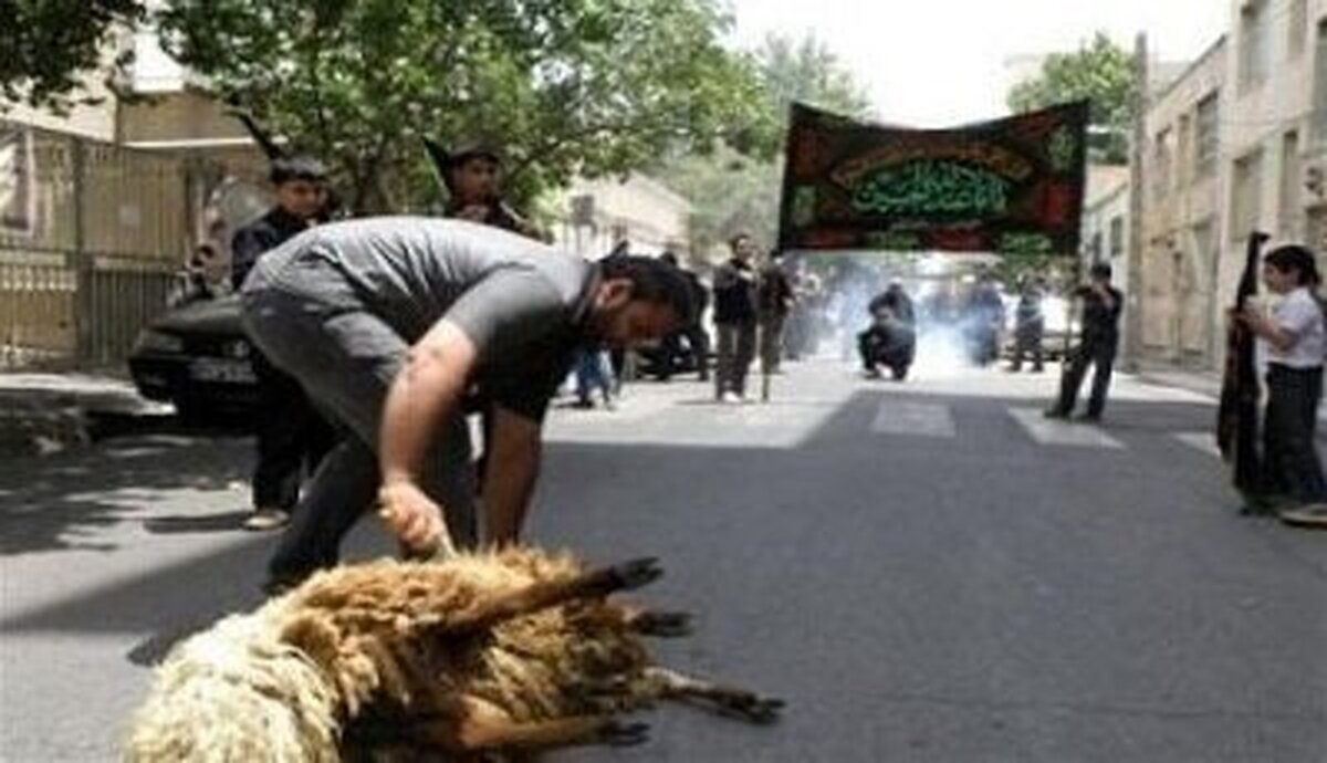 هیئات مذهبی هنگام ذبح دام مراقب شیوع تب کریمه کنگو باشند