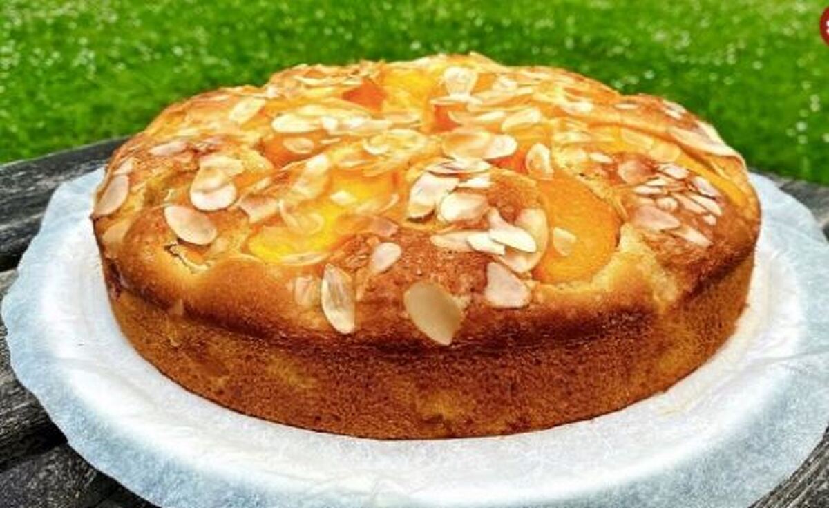 طرز تهیه کیک بهشتی با طعم زردآلو در منزل