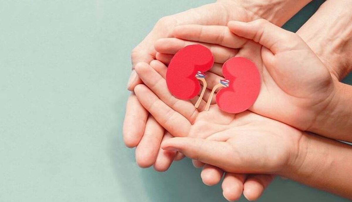 چگونه احتمال ابتلا به سنگ کلیه را کاهش دهیم؟