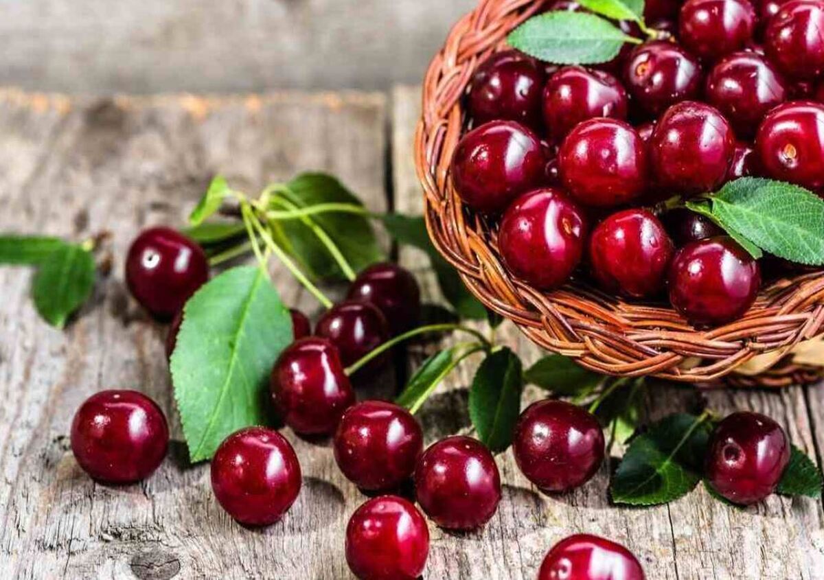 با خواص کمتر گفته شده این میوه پر طرفدار بیشتر آشنا شوید