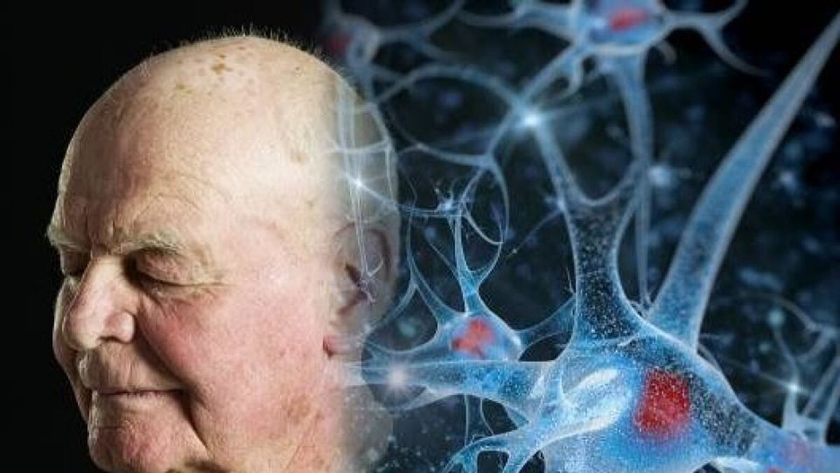 سیگنال‌های الکتریکی سلول‌های پیری را شناسایی میکنند!