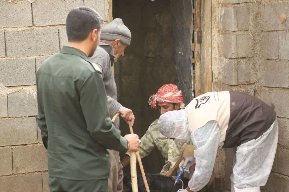 واکسینه شدن ۶۸ هزار رأس دام در سیستان