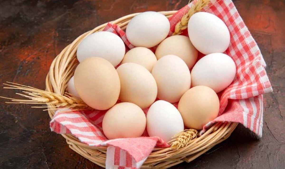 مصرف زرده تخم مرغ برای افراد مسن مضر است یا مفید؟