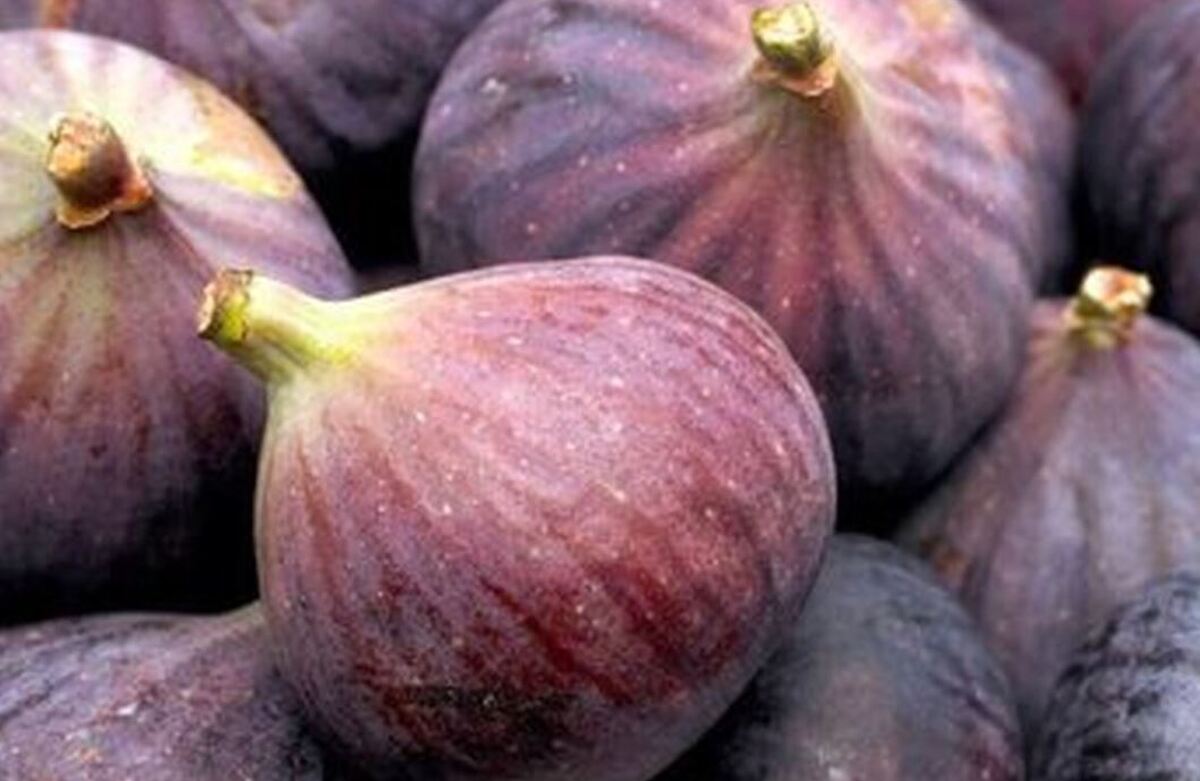با این میوه پر خاصیت تابستانی نیمی از بیماری‌ها را درمان کنید