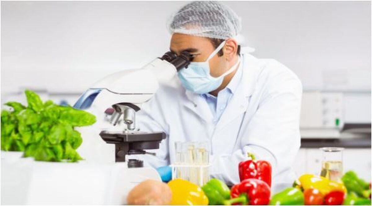 شناسایی آلودگی مواد غذایی در کوتاه‌ترین زمان ممکن توسط این حسگر نانویی