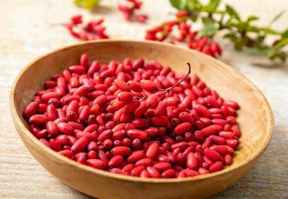 زرشک سرشار از آنتی‌اکسیدان‌ها مناسب برای مبارزه با عفونت ها!