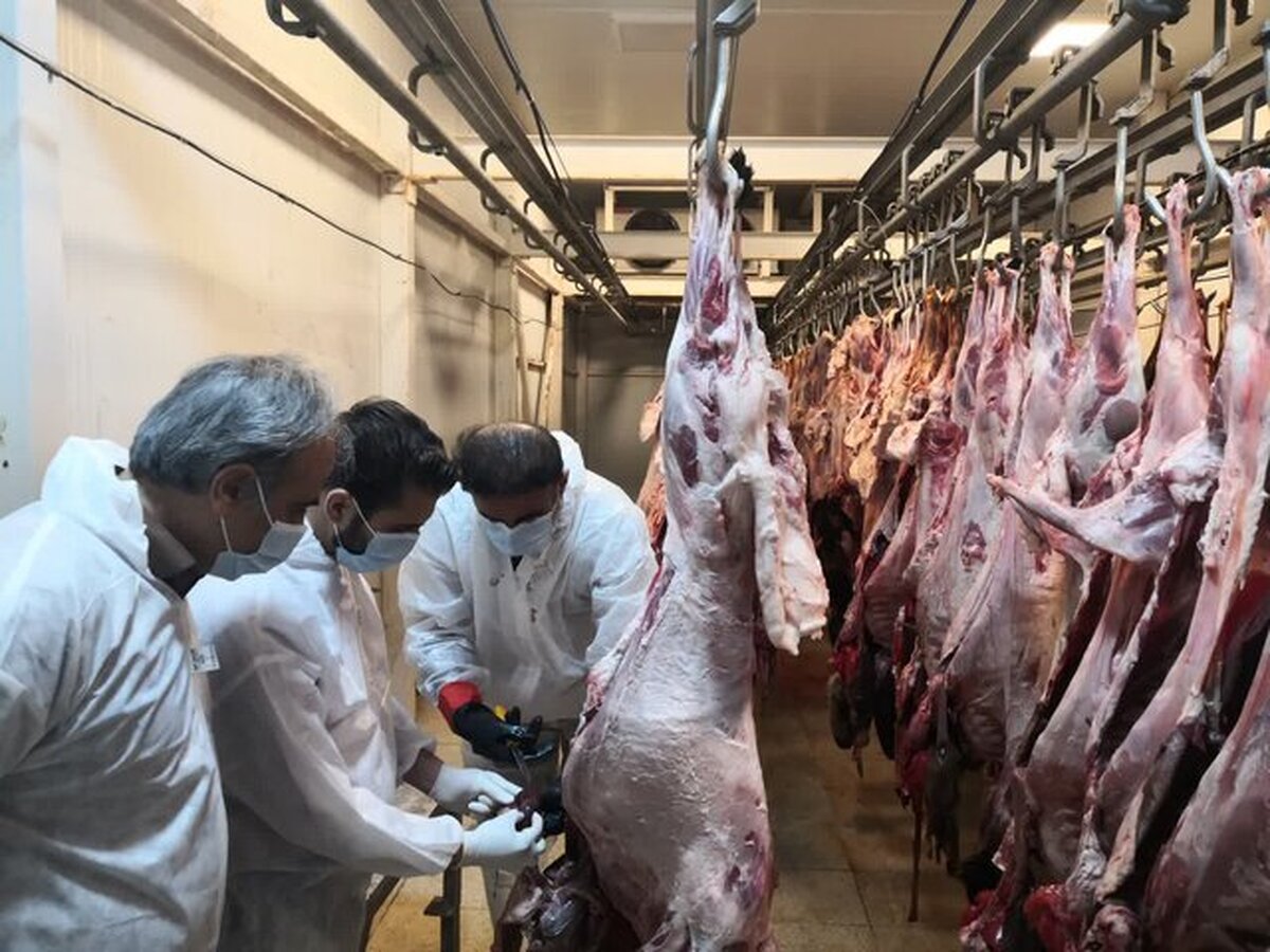 نظارت ۴ اکیپ بر ذبح دام در بروجرد