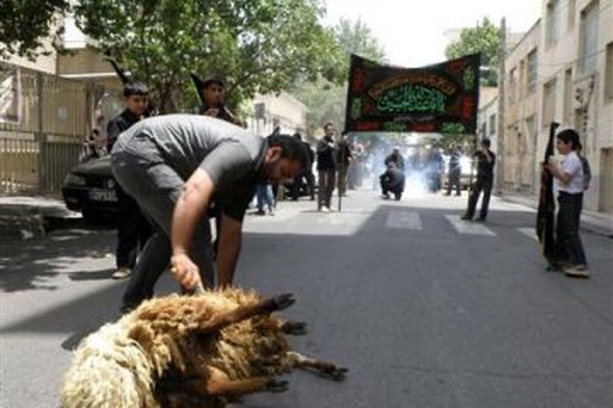 نظارت ۵۴ تیم دامپزشکی خراسان جنوبی بر ذبح دام در دهه اول محرم