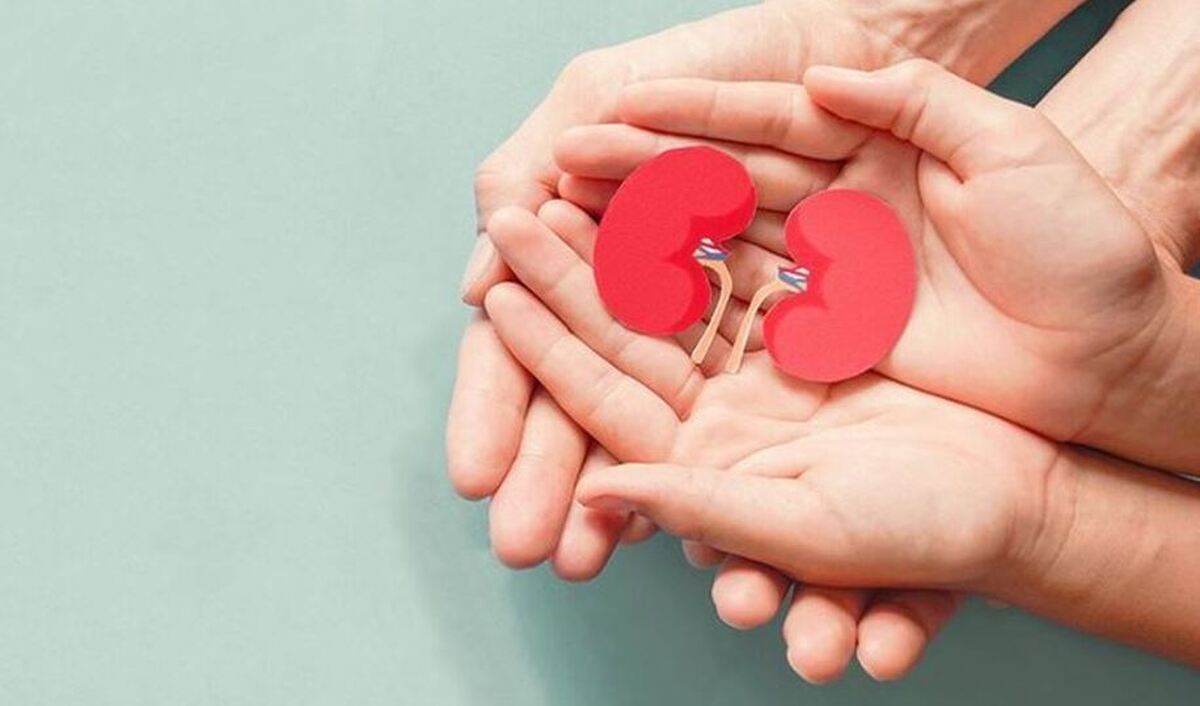توصیه‌های ضروری برای حفاظت از کلیه‌ها در این هوای گرم