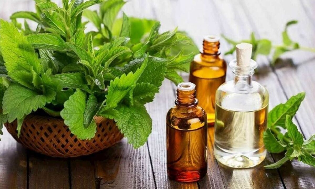 کاربرد باور نکردنی این گیاه در صنایع مختلف