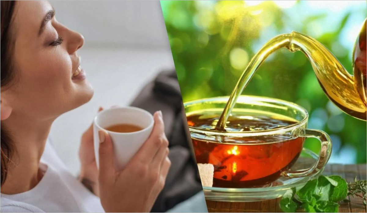 چای سبز کامبوچا عملکرد دستگاه گوارش را بهبود می‌بخشد