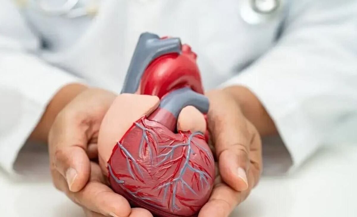 چگونه از ابتلا به بیماری‌های قلبی پیش گیری کنیم؟