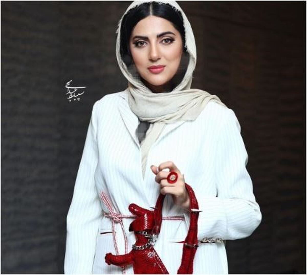 عجیب‌ترین کیف‌هایی که در دستان سلبریتی‌ها دیده شده! +عکس