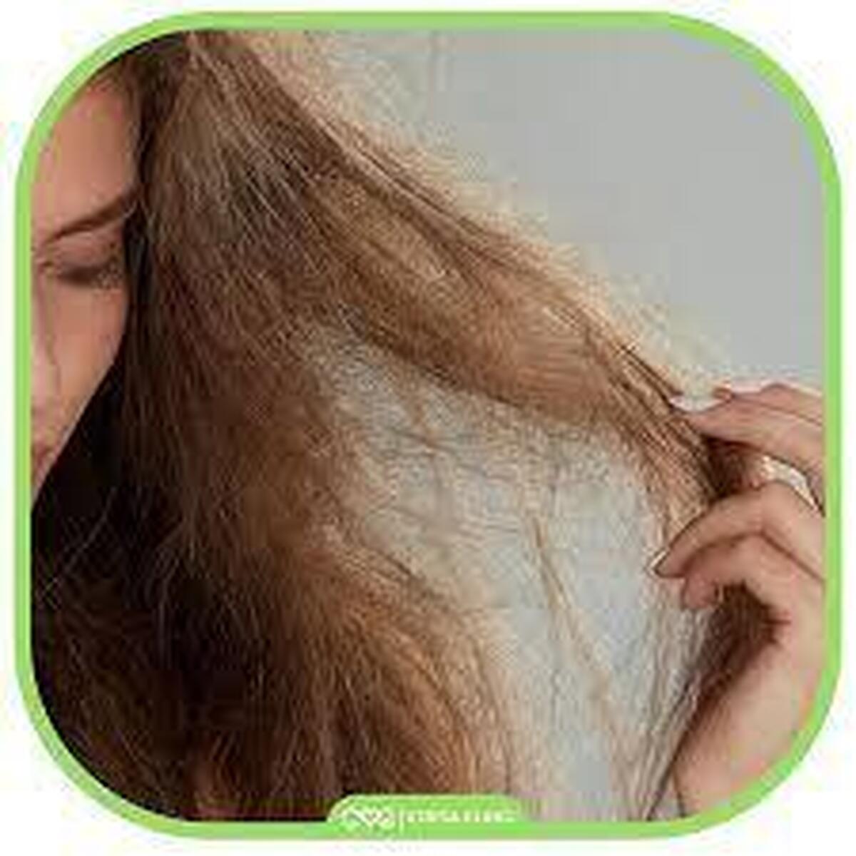 رژیم غذایی چه تاثیری بر استحکام مو‌ها دارد؟