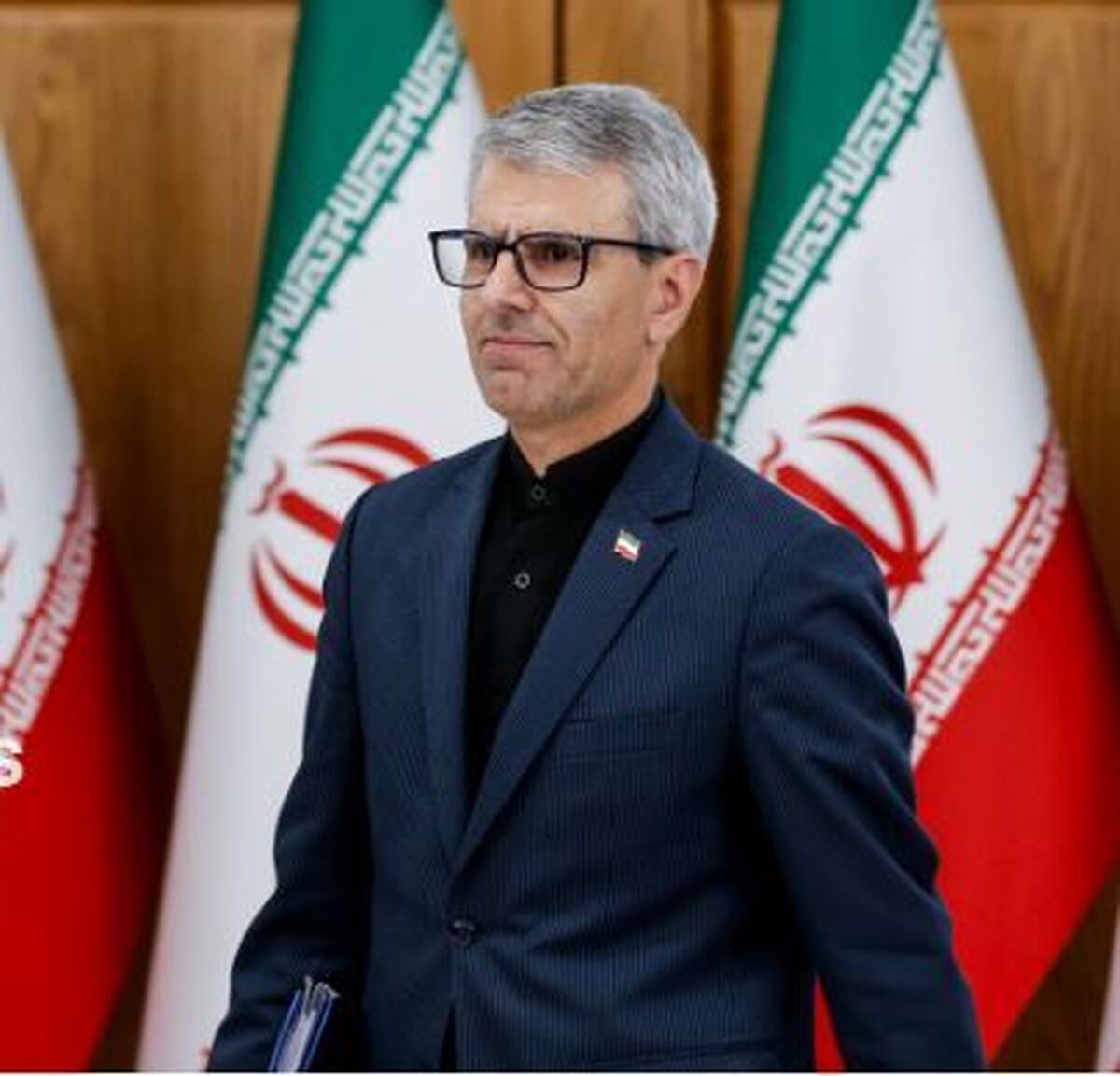 بقائی: برای شرکت در اجلاس سران کشور‌های عضو ‎بریکس وارد ریو دو ژانیرو (‎برزیل) شدیم