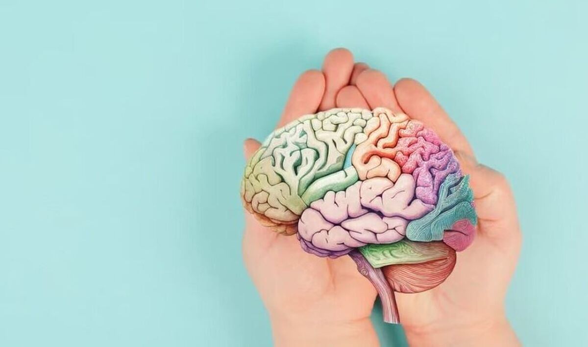 تاثیرات باور نکردنی امواج موبایل بر مغز