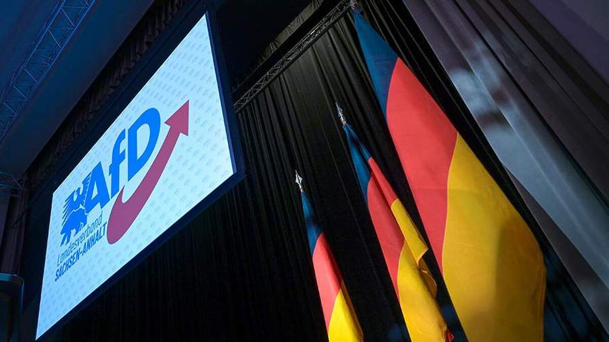 حزب AfD از مرتس خواست تا با پوتین درباره حل مناقشه اوکراین گفت‌و‌گو کند.