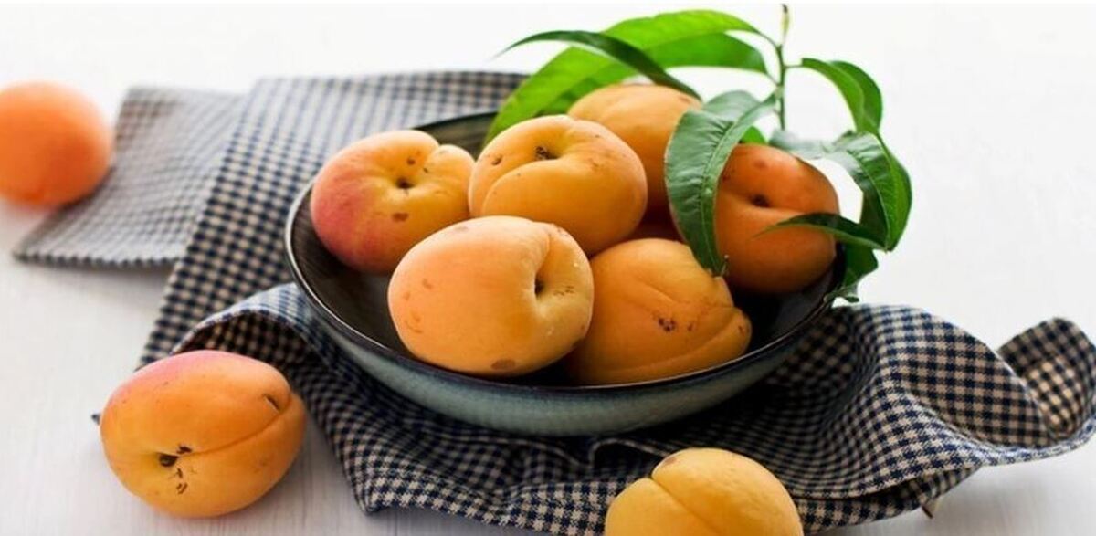 خوردن هسته این میوه‌ها خطر مسمومیت را در پی دارد!