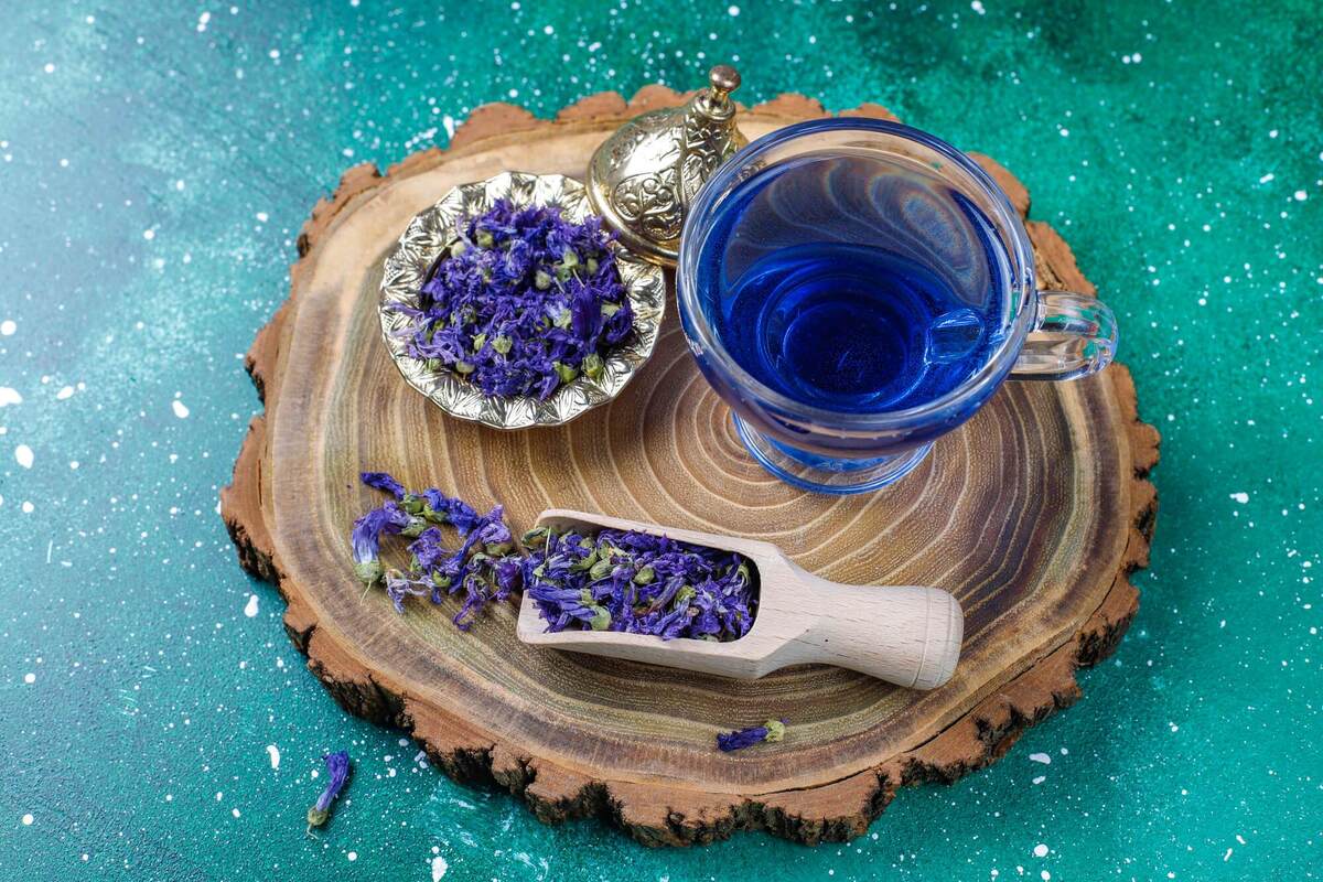 خواص دم‌نوش گل گاوزبان در طب سنتی ایرانی!
