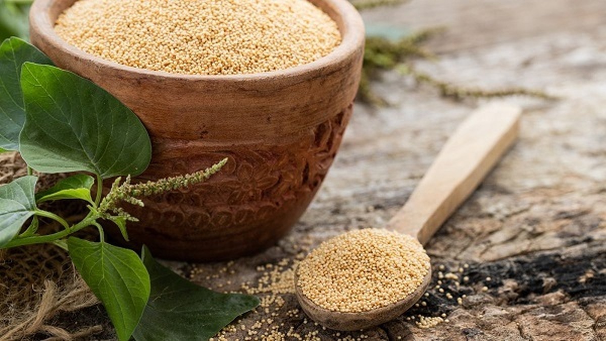 دانه آمارانت سرشار از کلسیم!
