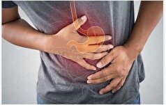 به کمک این گیاه‌ها به کاهش مشکلات معده کمک کنید