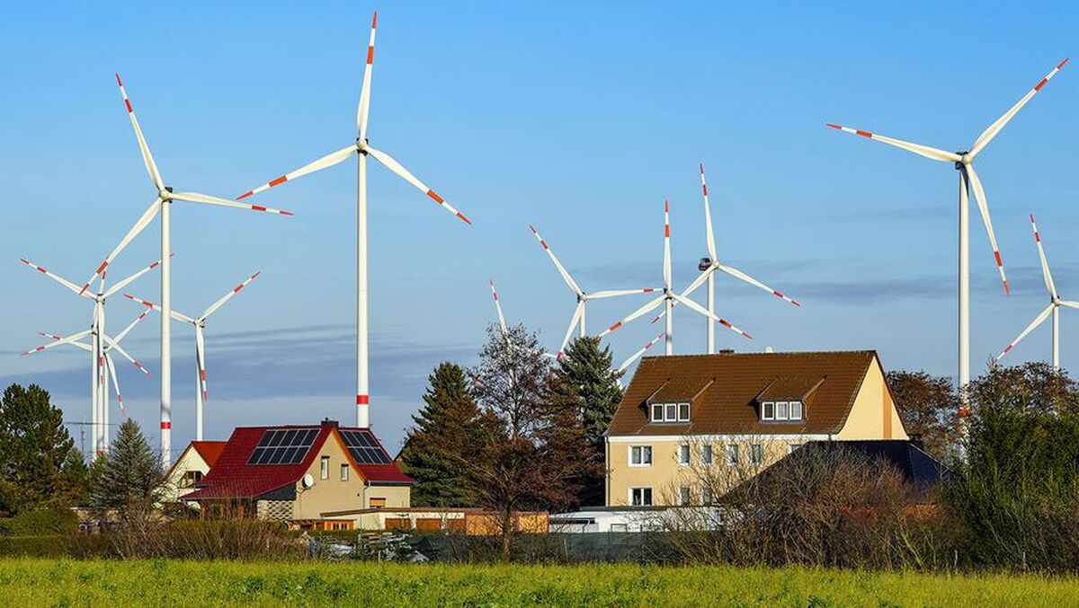 ترامپ دستور قطع یارانه‌های انرژی خورشیدی و بادی را صادر کرد