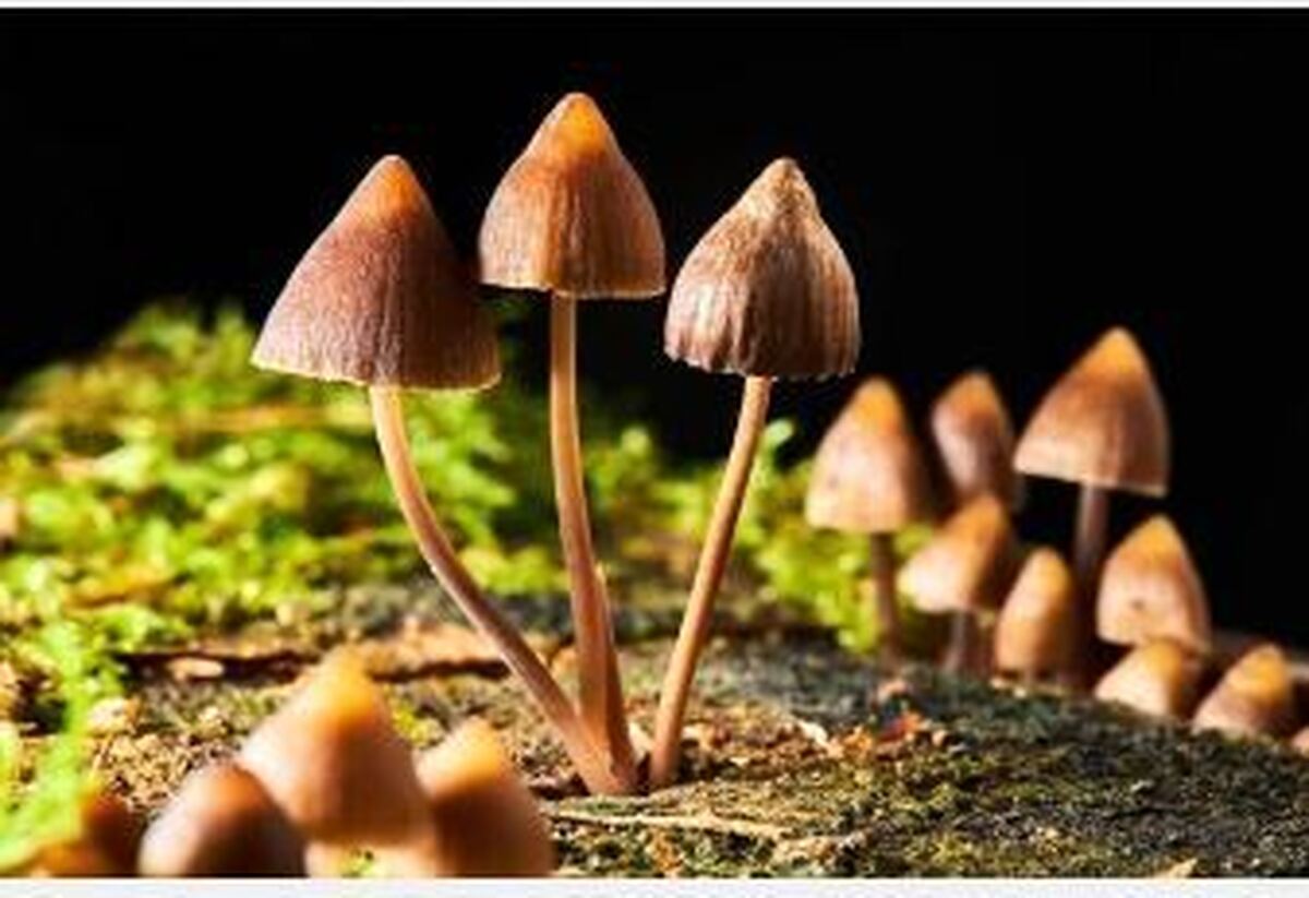 راه درمان برای افسردگی و اضطراب بیماران مبتلا به سرطان
