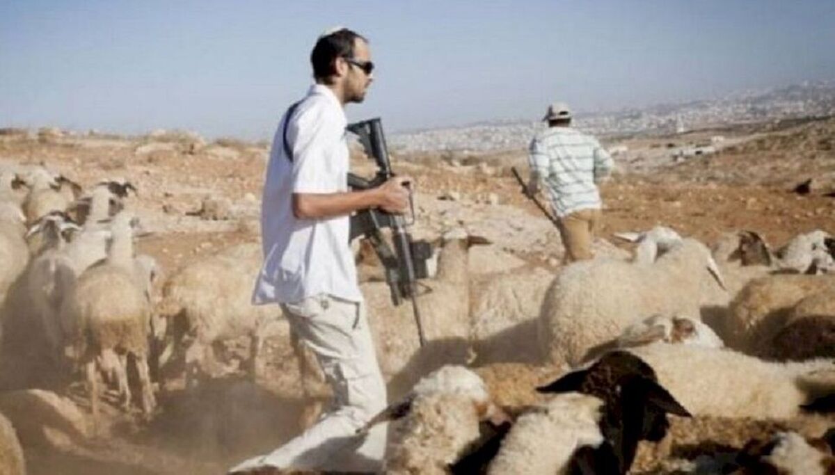کمیسر اتحادیه اروپا خشونت شهرک‌نشینان اسرائیلی در کرانه باختری را محکوم کرد