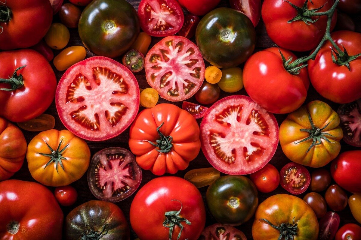 اطلاعات تغذیه‌ای گوجه فرنگی و خواص آن برای سلامت عمومی بدن