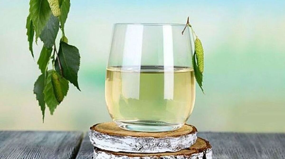 نگاهی به خواص عرق بیدمشک از دیدگاه طب سنتی