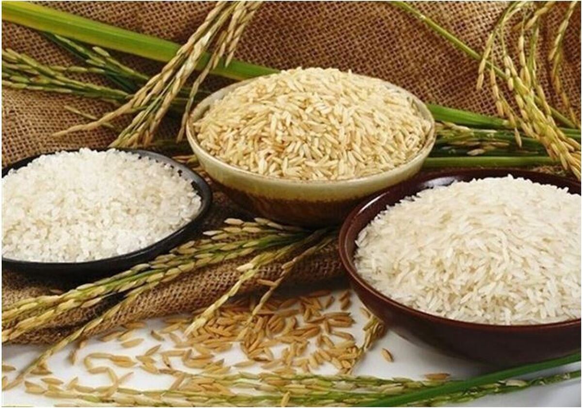 نرخ جدید برنج اعلام می‌شود