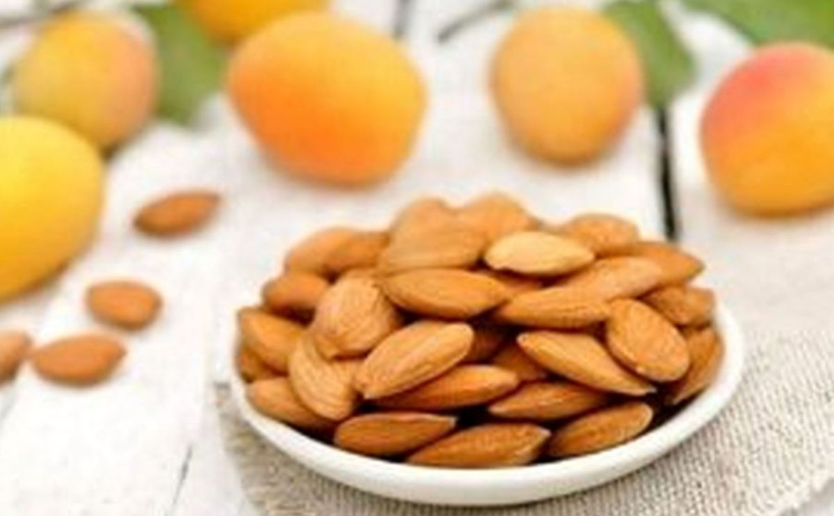 خوردن هسته کدام میوه‌ها ممنوع است؟