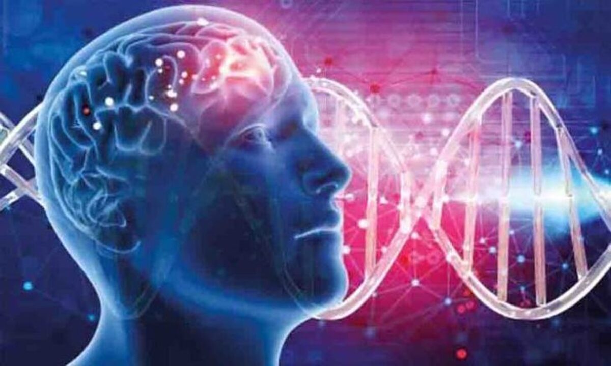 زوال عقل فقط مختص انسان‌ها نیست، بلکه با افزایش سن در بین سگ‌ها و گربه‌ها نیز شایع است