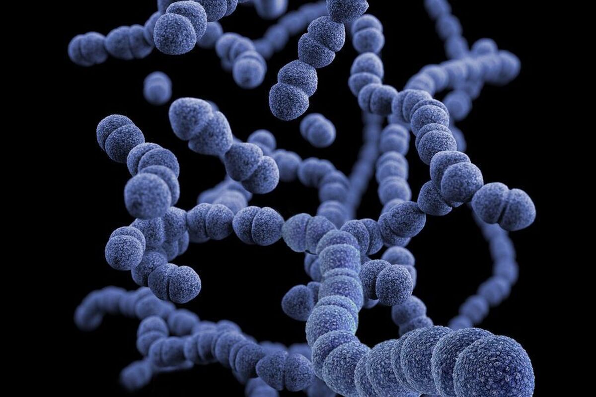 هوش مصنوعی، باکتری مقاوم به آنتی‌بیوتیک E. Coli را شکست می‌دهد