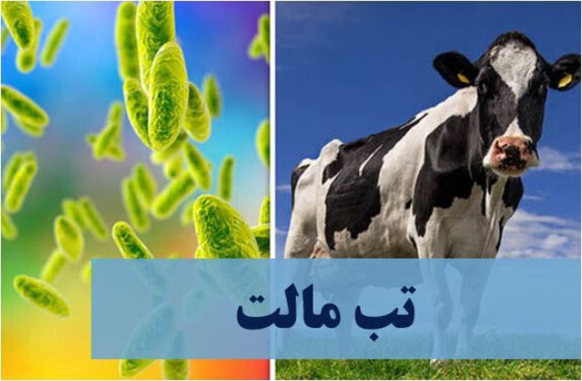 با «بیماری هزار چهره» بیشتر آشنا شوید!