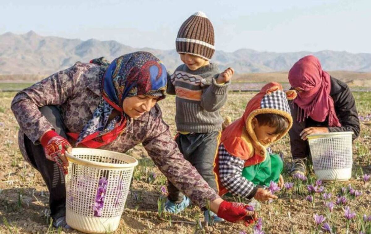تاکیید صندوق بیمه اجتماعی کشاورزان، روستاییان و عشایر در خدمات رسانی غیرحضوری