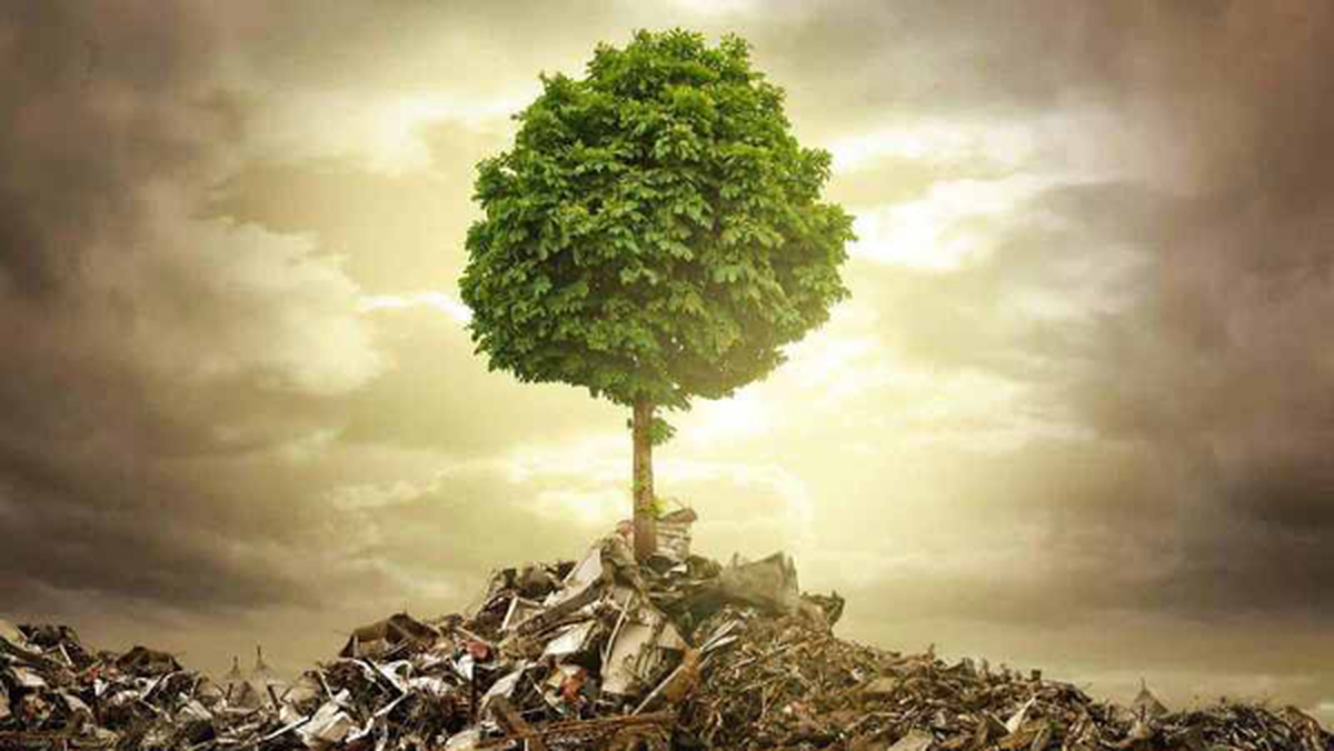 درخواست محیط‌زیستی ایران از مجامع بین‌المللی