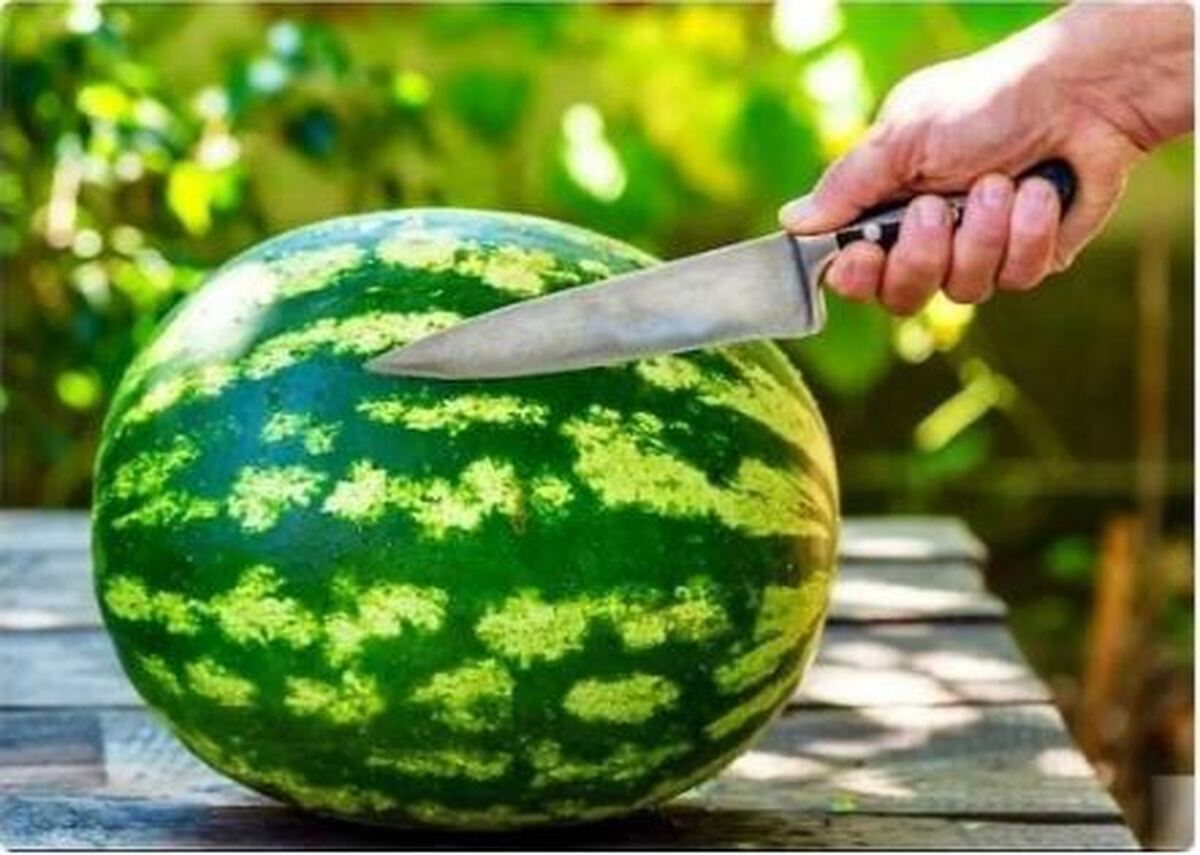 قبل خوردن هندوانه پوست آن را حتما بشورید