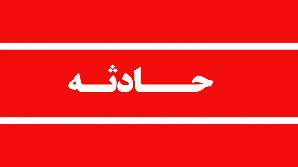 انتقال خرس قهوه‌ای با وضعیت حیاتی ناپایدار به پناهگاه حیات وحش سمسکنده