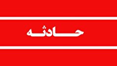 انتقال خرس قهوه‌ای با وضعیت حیاتی ناپایدار به پناهگاه حیات وحش سمسکنده